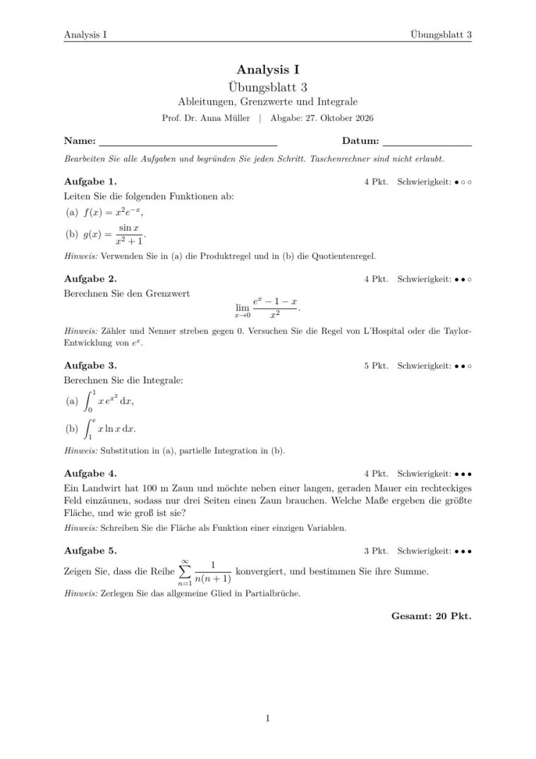 Erste Seite der LaTeX-Vorlage Arbeitsblatt
